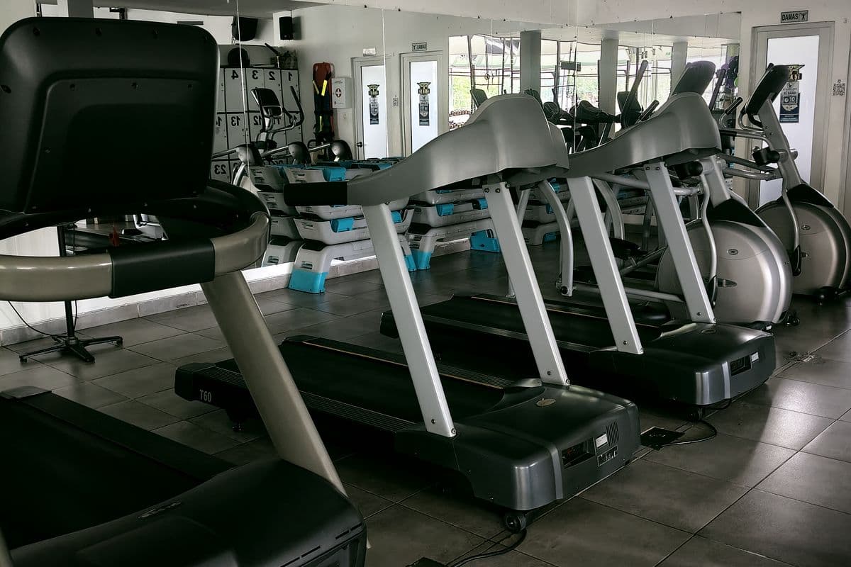 Caminadoras y elípticas de la zona de cardio